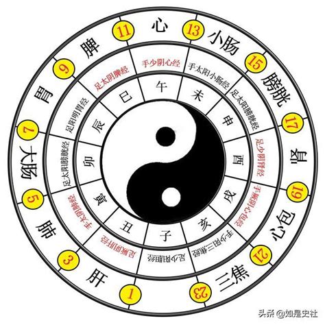 太極生兩儀兩儀生四象四象生八卦意思|太極(古代哲學):名詞由來,道家,分類,定義,理論,來源,太。